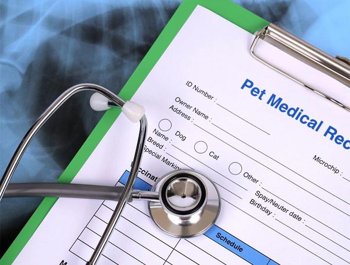 Pet Portal Animal Medical Clinic